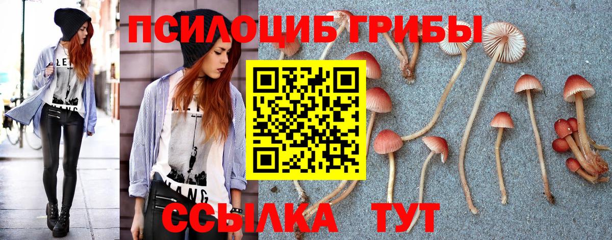 Галлюциногенные грибы Psilocybe Россошь