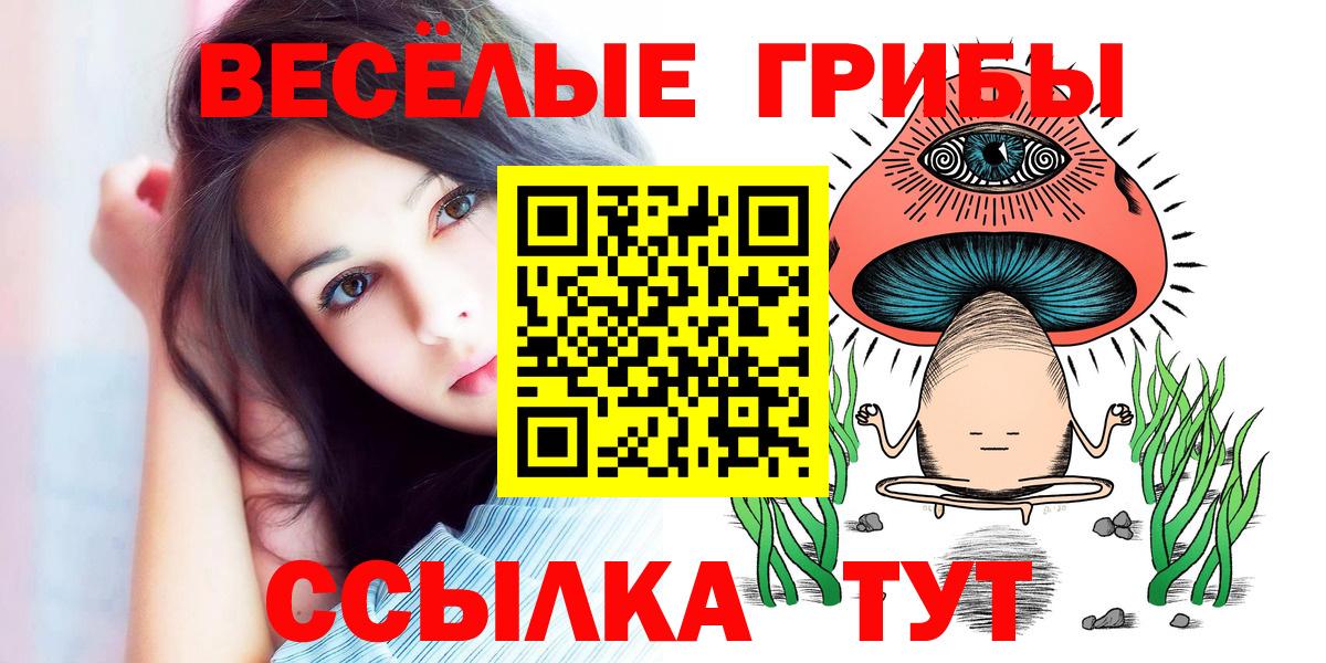 Галлюциногенные грибы Psilocybine cubensis  Вход с VPN  Россошь  Галлюциногенные грибы Psilocybe 